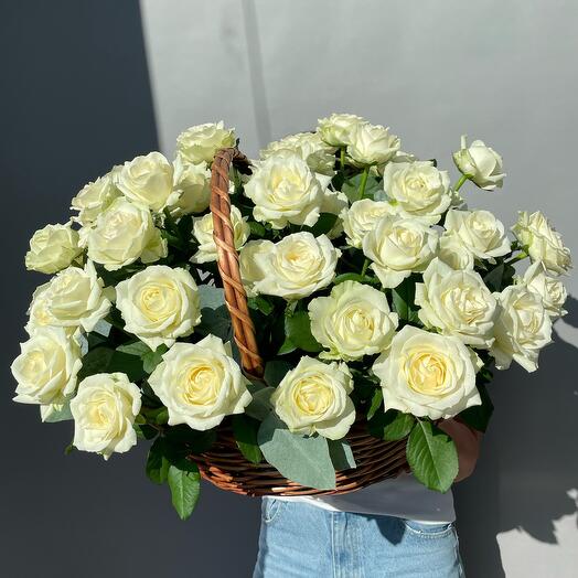 Корзина белых роз 51 шт