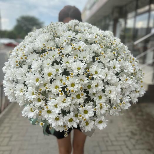 Ромашки в коробке «Ромашковае поле»