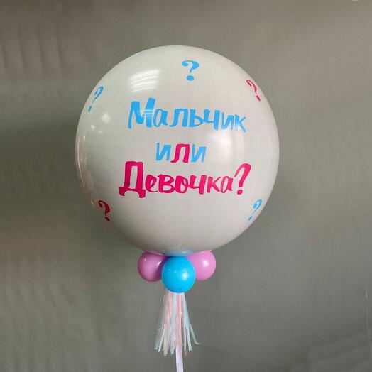 Набор шаров с гелием 142 - мальчик или девочка ( аэродизайн )