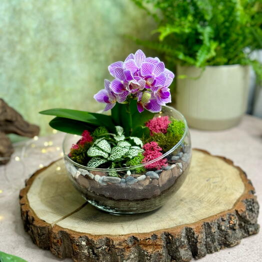 Hemisferio M con orquídea - 189