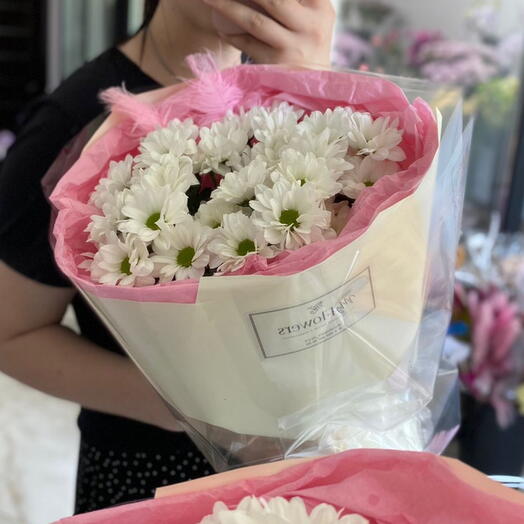 Хризантемы ромашковые