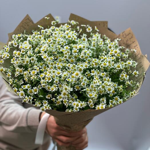 Ширакный Букет из 25 ромашек