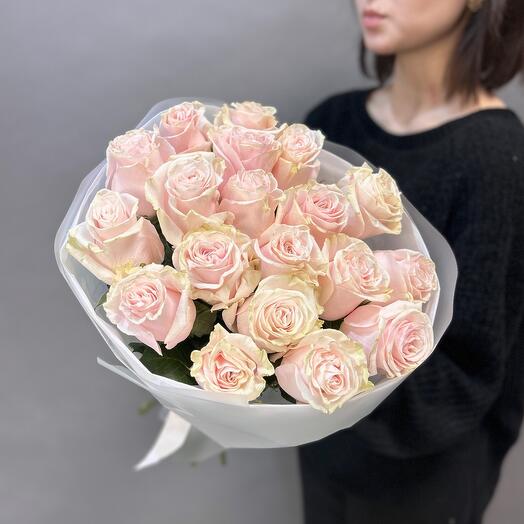 19 pink Ecuadorian roses with a green tint