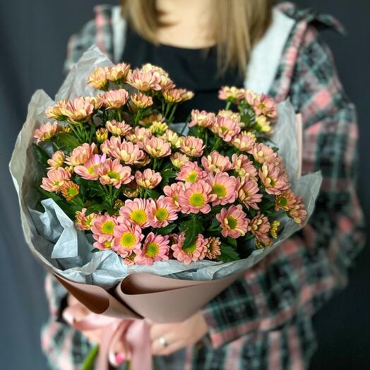 Peach Chrysanthemum Santini