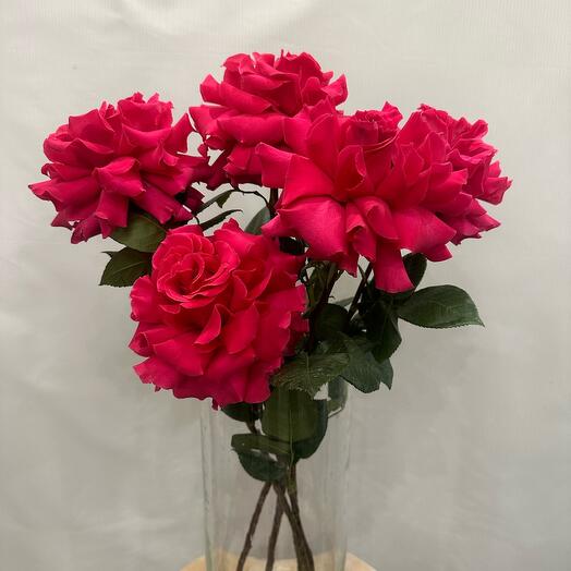 Rosa Francesa Full Monty