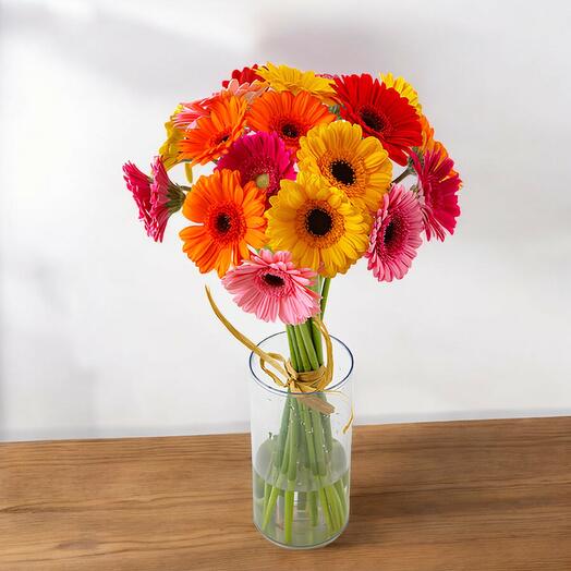 Arcoiris de Gerberas