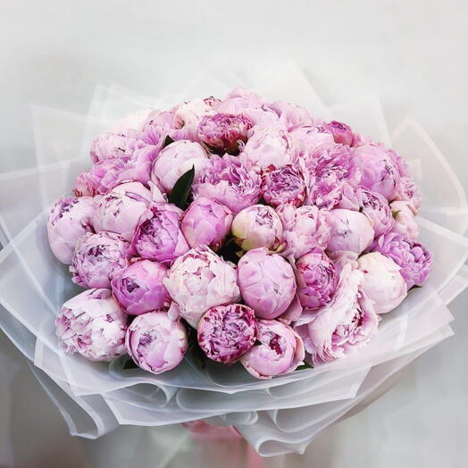 51 Pink Peonies Petals