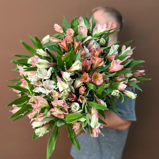 Альстрамерия микс 25 штук