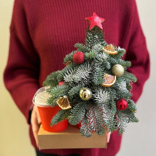 Подарочный набор с мини-елочкой и цитрусовым рафом