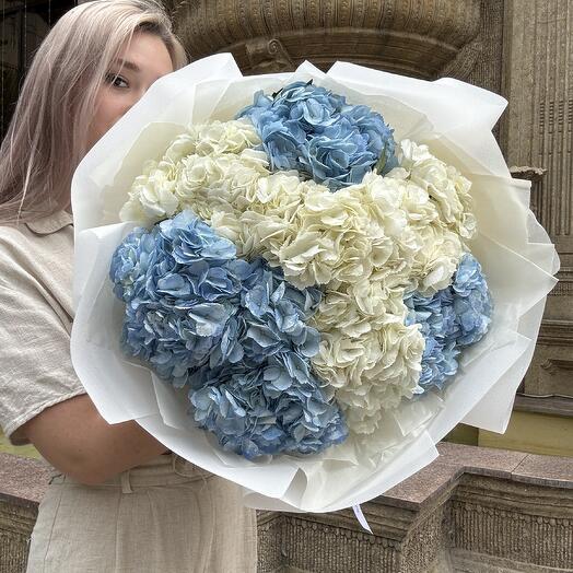 Монобукет из гортензий