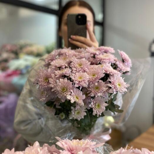 Моно из нежных хризантем