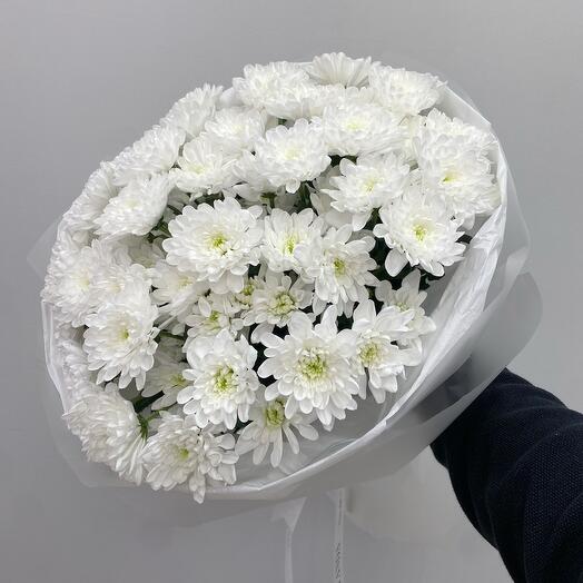 Белоснежные хризантемы (XL)