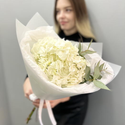 A compliment bouquet of white hydrangea and eucalyptus