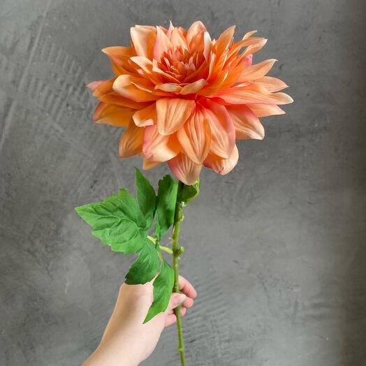 Астра Искуственная