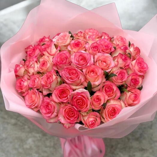 50 pink roses Jumilia