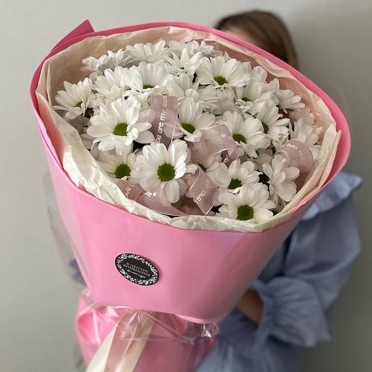 Моно ромашковой хризантемы