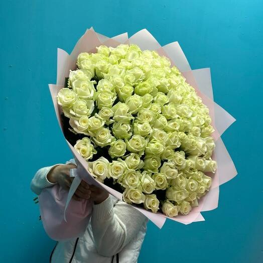 Ecuador rose