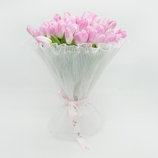 51 pink tulips