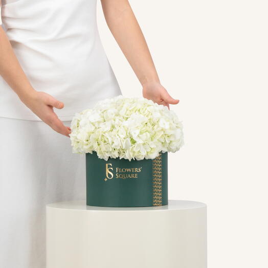 White Hydrangea Box Medium