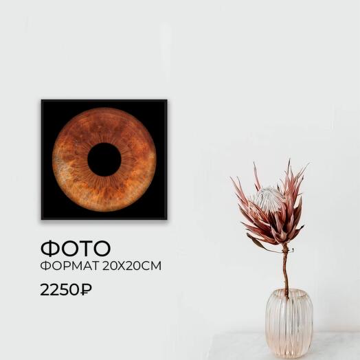 Сертификат на фото радужки глаза 20х20см