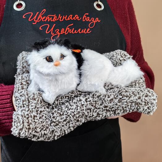 Черно-белый котенок на подушке