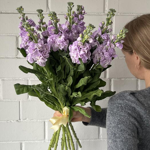 Purple love