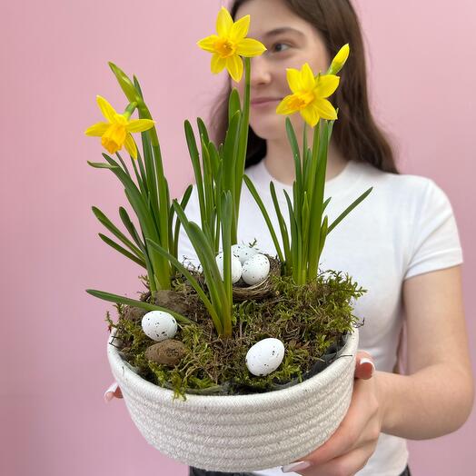 Весенняя композиция с нарциссами и мускариками