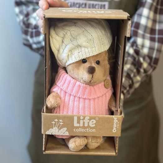 Ёжик в шапочке