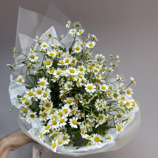 МОНО БУКЕТ ИЗ РОМАШКИ