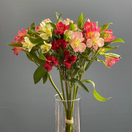 Bouquet of 7 multicolored alstrameria
