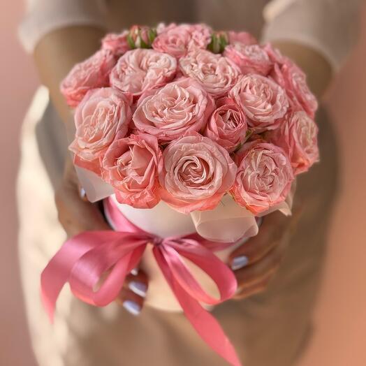 A compliment box with bushy peony-shaped roses in a delicate shade