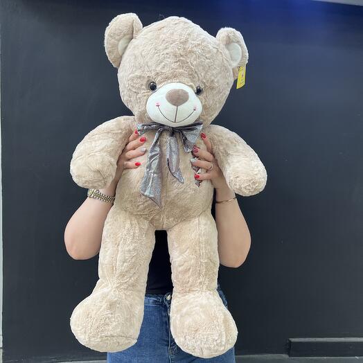 Teddy