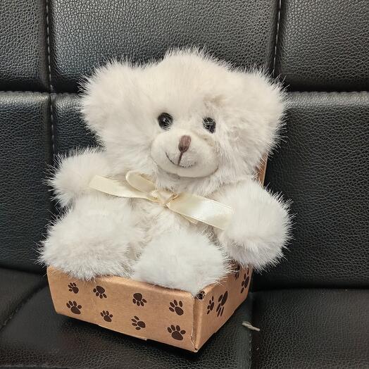 Мишка белый в коробочке