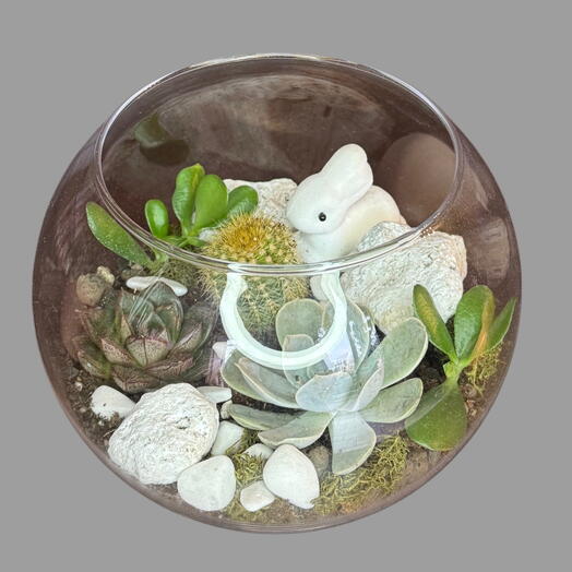 Composición en vidrio con plantas en maceta