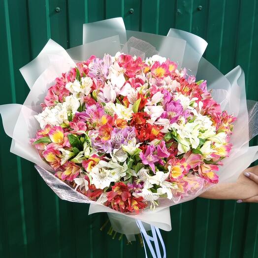 Монобукет из 51 альстромерии