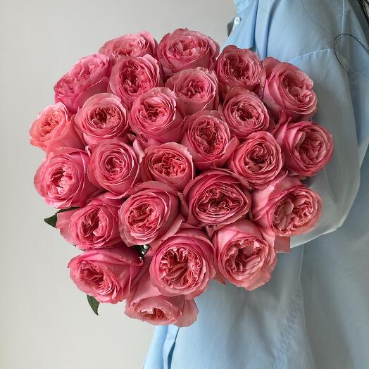Букет из 25 пионовидных роз PINK EXPRESSION под ленту