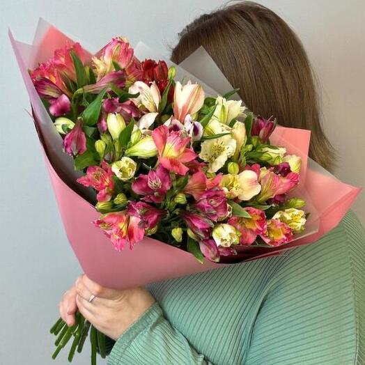 A mix of 15 persistent alstroemeria. VKF3