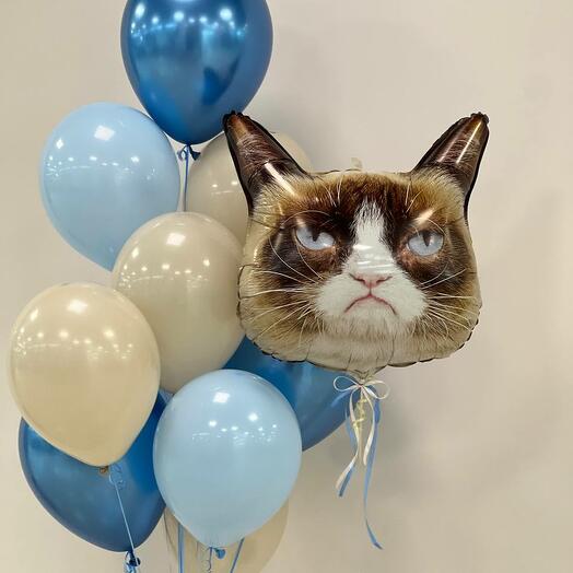 «Счастливый» кот и 10 латексных шариков