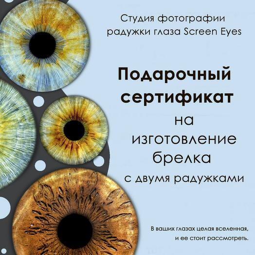 Подарочный электронный на брелок с двумя радужками глаза