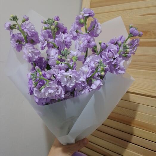 Маттиола Лавадовая 5 штук 💜