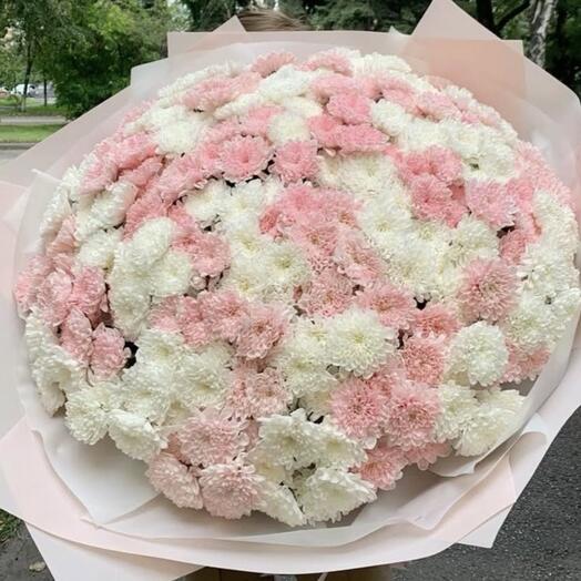 55 хризантем