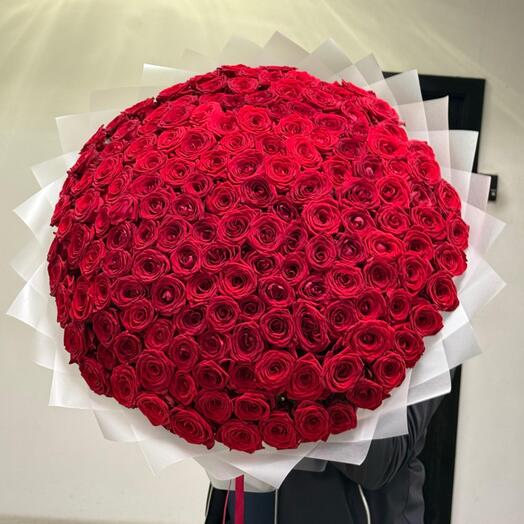 Букет из красной розы