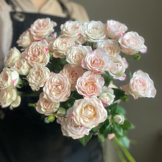 Роза кустовая 60 см