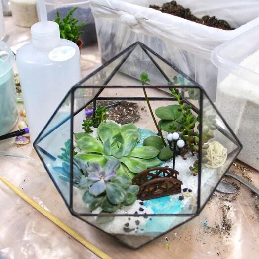 🎀Мастер-класс по созданию флорариума «Живая радуга » 1 участник 1,5 часа 💝