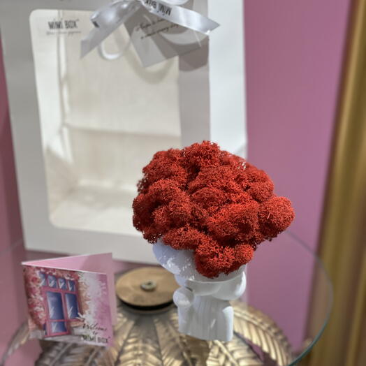 Кашпо со стабилизированным мхом