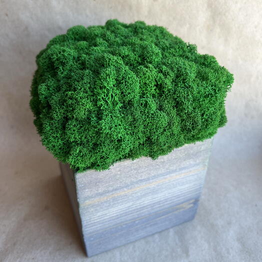 Эко Декор 🌳