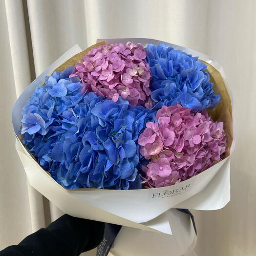 5 гортензии