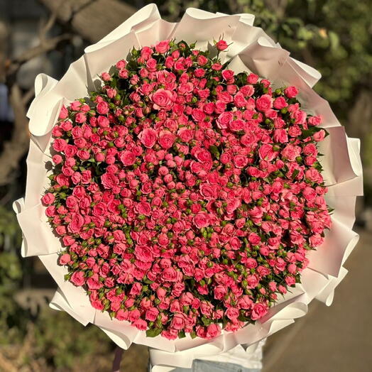 101 кустовая Роза