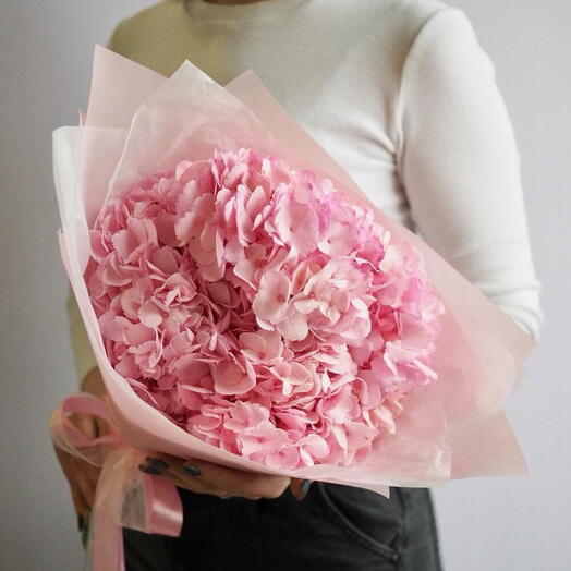 Розовый рассвет с гортензией