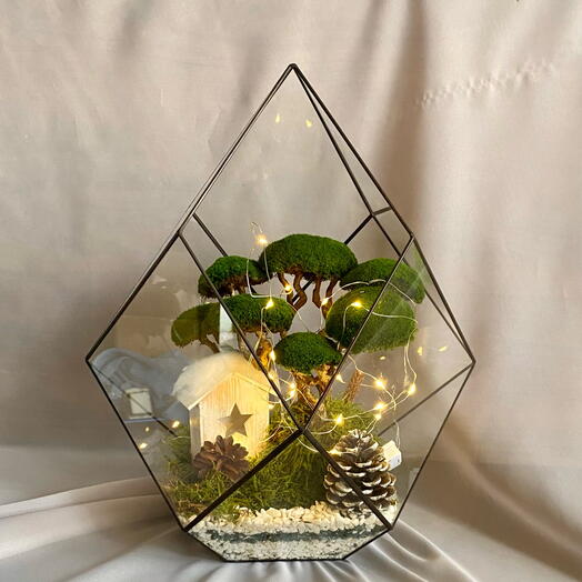Флорариум моссариум «Ромб» новогодний подарок